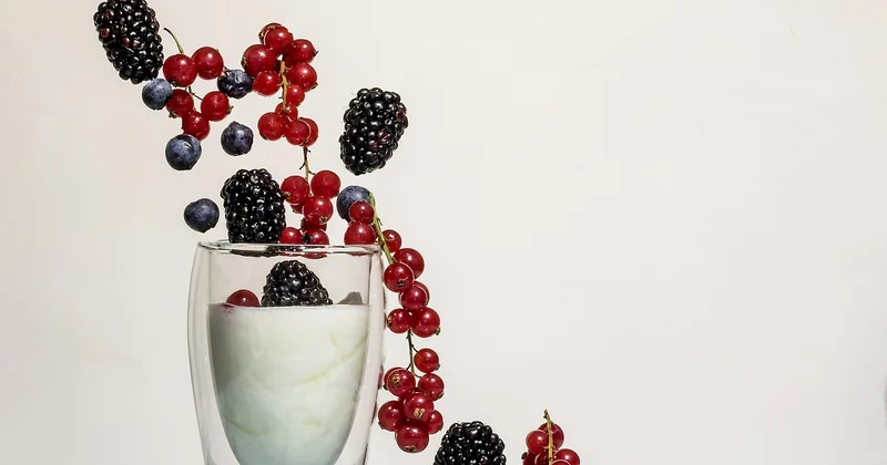 Quel est le produit anti-mousse le plus efficace pour une toiture ?