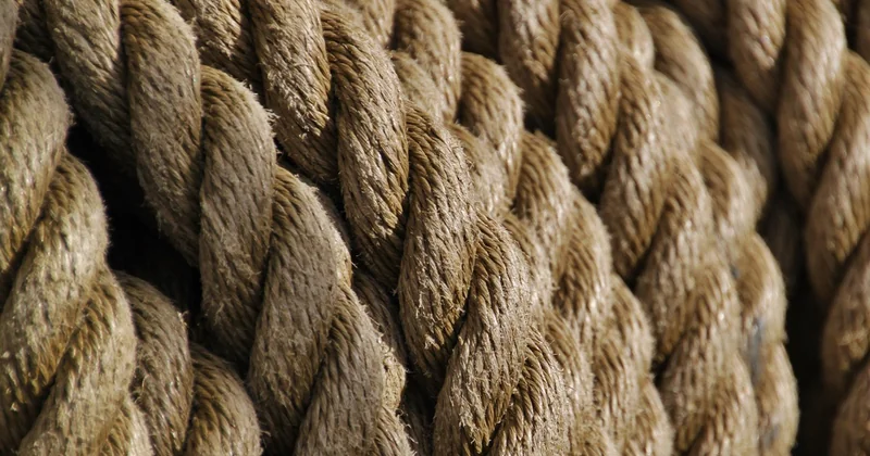 Alternatives et accessoires qui changent l'usage