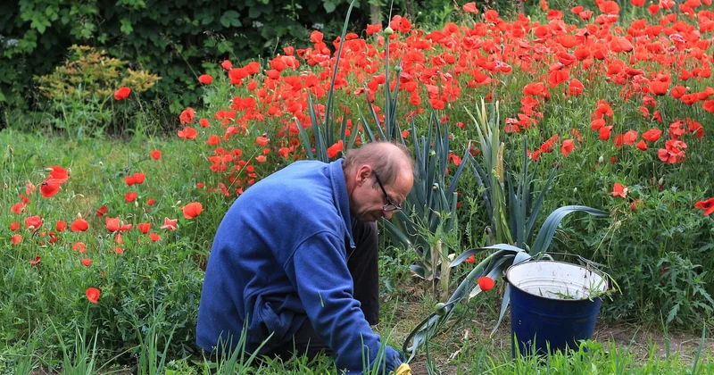 Désherbant total professionnel longue durée : ce qui marche vraiment au jardin