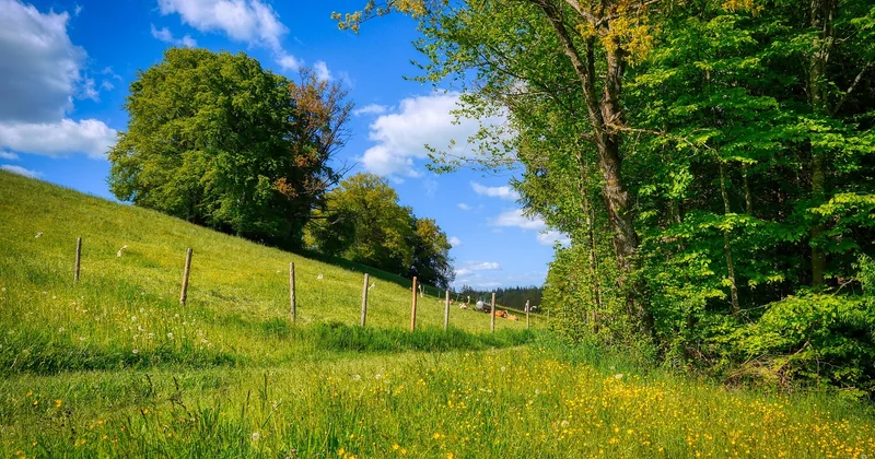 Terrain en pente ou étroit : le plain-pied est-il encore possible ?