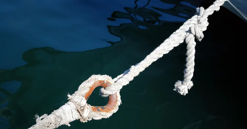 Comment fonctionne vraiment le circuit court de cette ferme