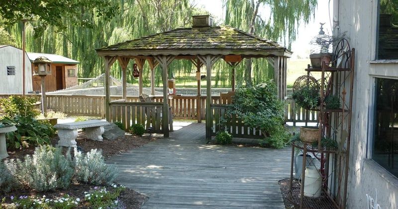 Pergola Brico Dépôt : le guide pour bien choisir et payer moins cher