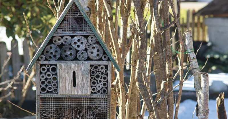Où acheter ses matériaux écologiques ?